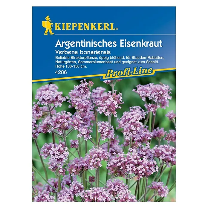 Kiepenkerl Profi-Line Blumensamen Eisenkraut - Verbena bonariensis, Lavendelblau - Vorderansicht