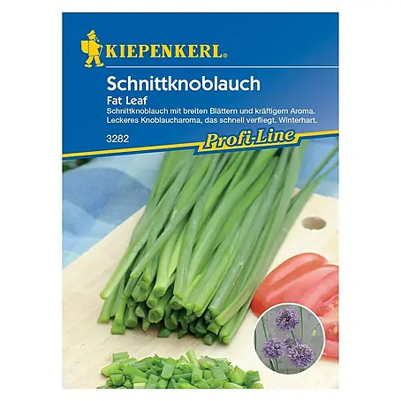 Kiepenkerl Profi-Line Kräutersamen Schnittknoblauch