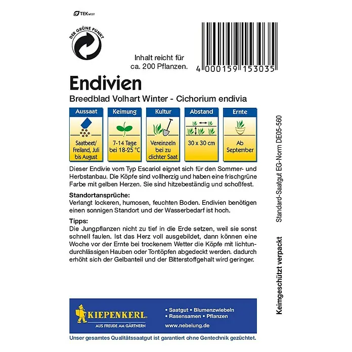 Kiepenkerl Salatsamen Endivie Breedblad - Chicorium endivia, Erntezeit: September - Rückansicht