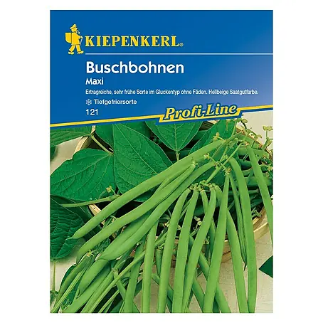 Kiepenkerl Profi-Line Gemüsesamen Buschbohne