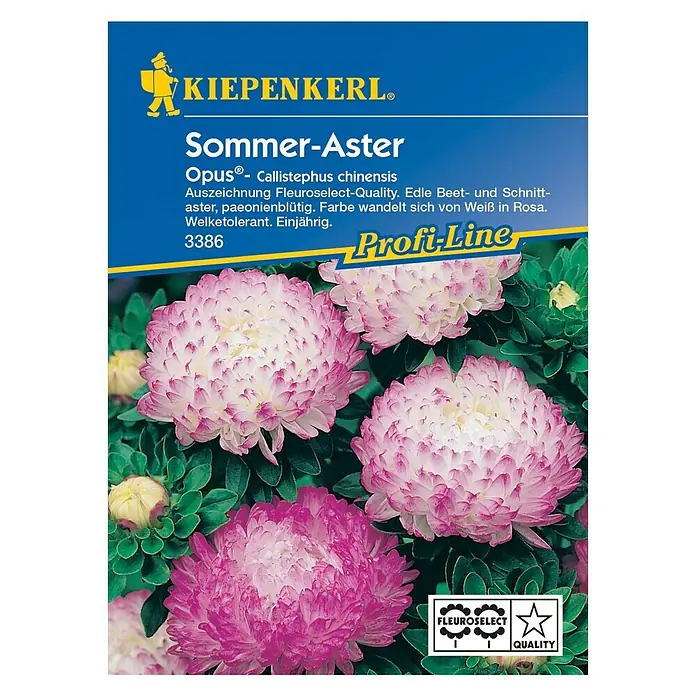 Kiepenkerl Profi-Line Blumensamen Sommeraster - Callistephus chinensis, Opus, Blütezeit: August - Vorderansicht