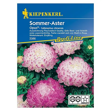Kiepenkerl Profi-Line Blumensamen Sommeraster