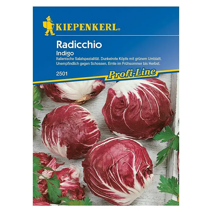 Kiepenkerl Profi-Line Salatsamen Radicchio - Indigo, Cichorium intybus var. foliosum, Erntezeit: Juni - Vorderansicht