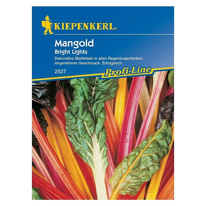 Kiepenkerl Profi-Line Gemüsesamen Mangold Bright Lights - Beta vulgaris var. vulgaris, Erntezeit: Juni - Vorderansicht