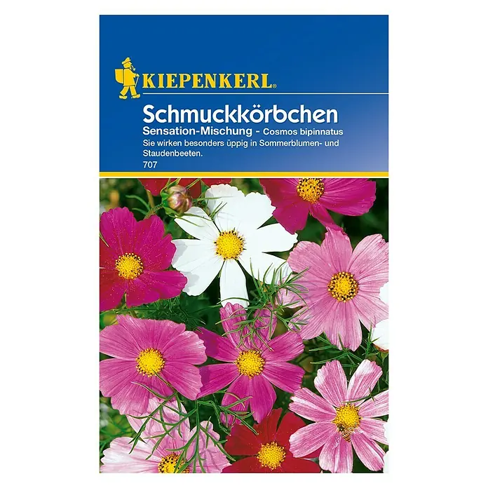 Kiepenkerl Blumensamen Schmuckkörchen - Cosmos bipinnatus, Mehrfarbig - Vorderansicht