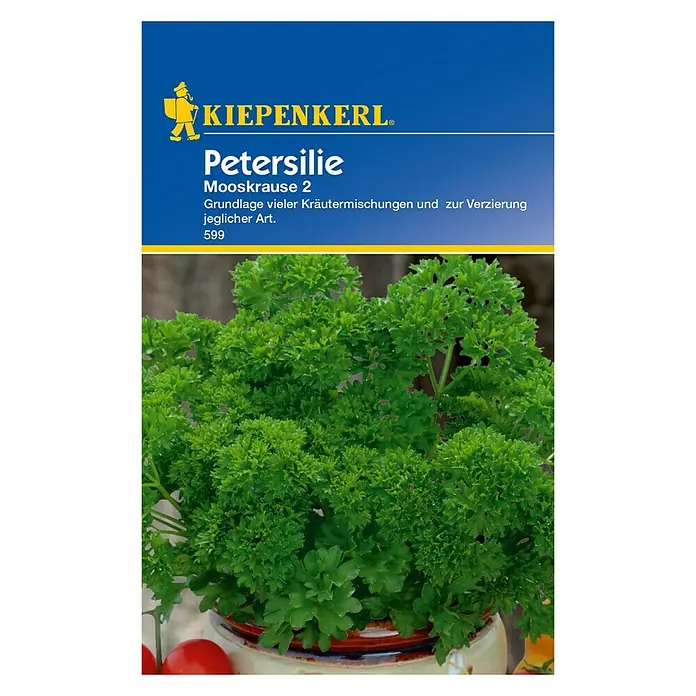 Kiepenkerl Kräutersamen Petersilie Mooskrause 2 - Petroselinum crispum, Saatzeit: März, Erntezeit: Juni - Vorderansicht