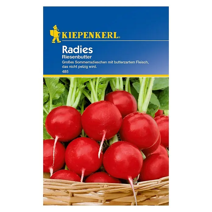 Kiepenkerl Gemüsesamen Radieschen - Riesenbutter, Raphanus sativus var. sativus, Erntezeit: Juni - Vorderansicht