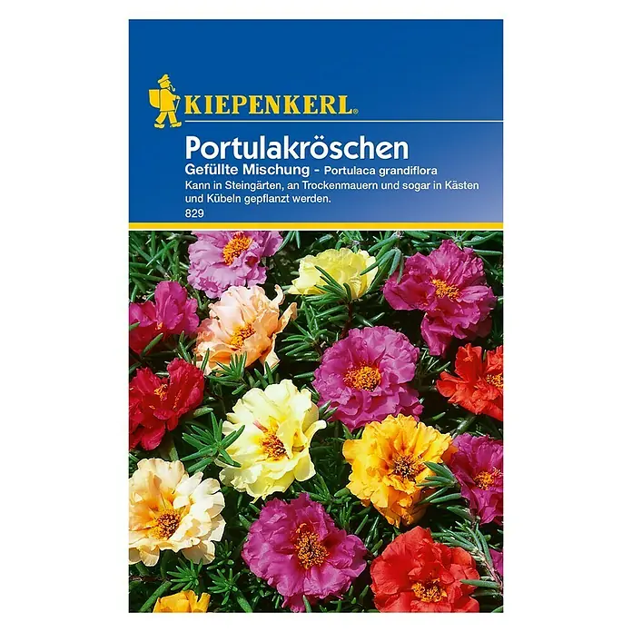 Kiepenkerl Blumensamen Portulakröschen - Portulaca grandiflora, Mehrfarbig - Vorderansicht