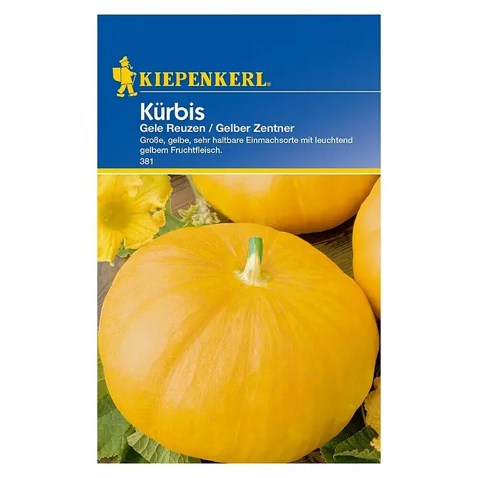 Kiepenkerl Gemüsesamen Kürbis - Gele Reuzen, Cucurbita maxima, Erntezeit: August - Vorderansicht
