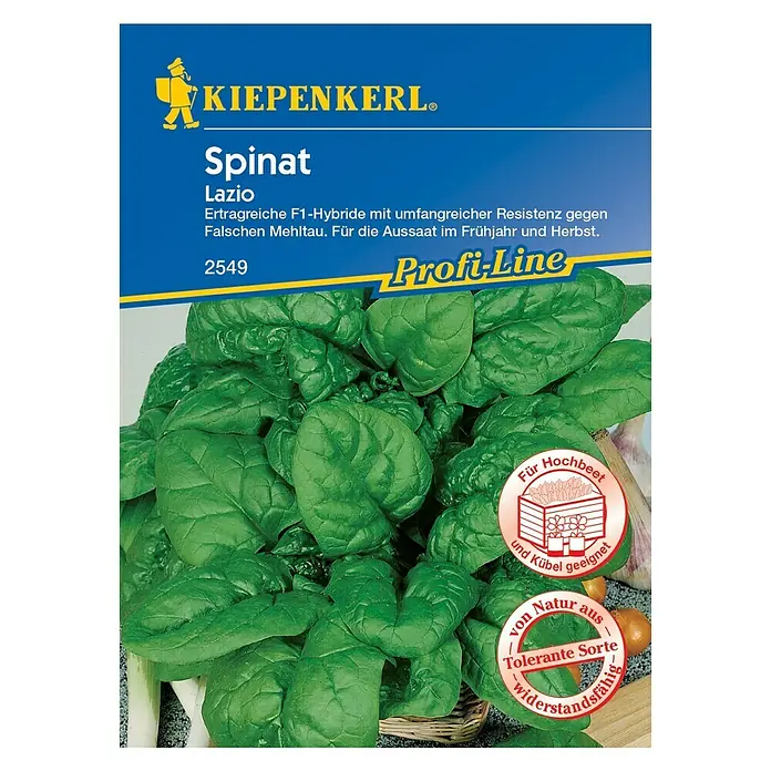 Kiepenkerl Profi-Line Gemüsesamen Spinat - Lazio F1, Spinacia oleracea, Erntezeit: April - Vorderansicht