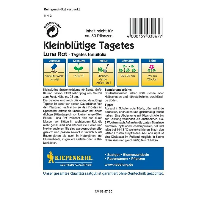 Kiepenkerl Profi-Line Blumensamen Studentenblume - Tagetes tenuifolia, Luna Rot, Blütezeit: Mai - Rückansicht