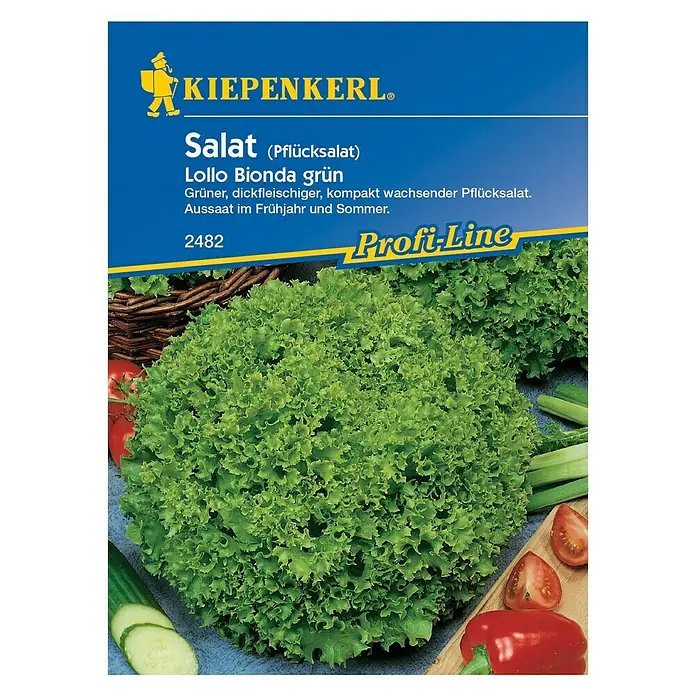 Kiepenkerl Profi-Line Salatsamen Pflücksalat Lollo Bionda Grün - Lactuca sativa var. crispa, Erntezeit: Mai - Vorderansicht