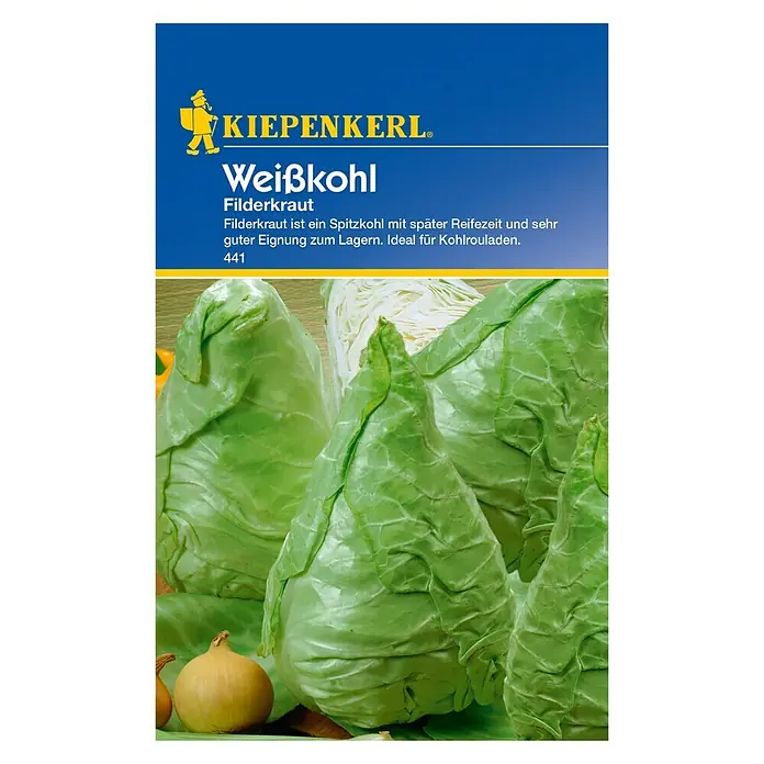 Kiepenkerl Gemüsesamen Weißkohl - Filderkraut, Brassica oleracea var. capitata f. alba - Vorderansicht