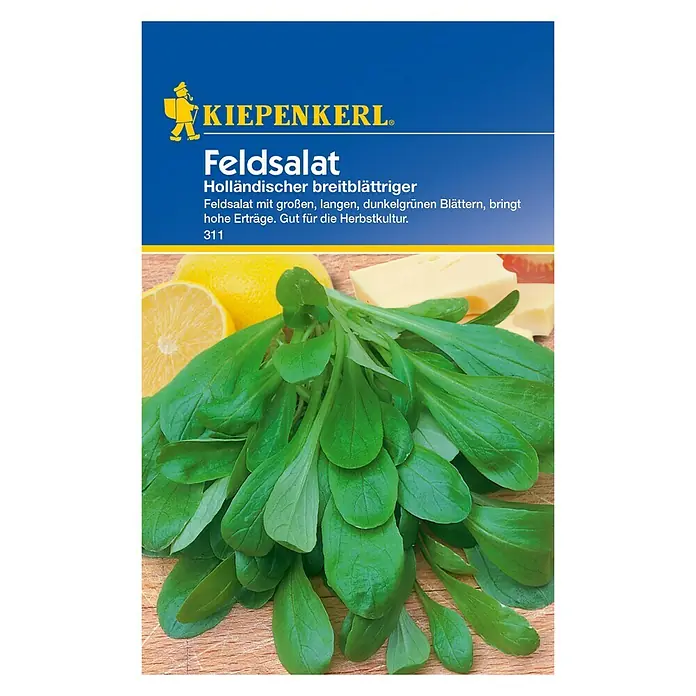 Kiepenkerl Salatsamen Feldsalat - Valerianella locusta, Holländischer breitblättriger, Erntezeit: Oktober - Vorderansicht