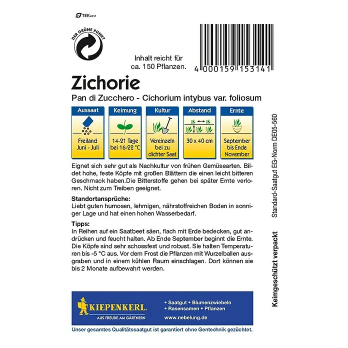 Kiepenkerl Salatsamen Zichorie - Cichorium intybus var. foliosum, Erntezeit: September - Rückansicht