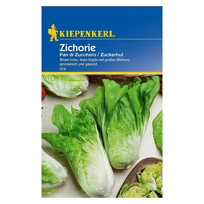 Kiepenkerl Salatsamen Zichorie - Cichorium intybus var. foliosum, Erntezeit: September - Vorderansicht