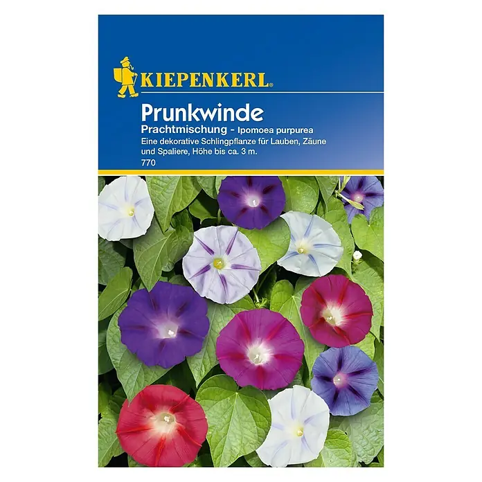 Kiepenkerl Blumensamen Prunkwinde Prachtmischung - Ipomoea purpurea, Mehrfarbig - Vorderansicht