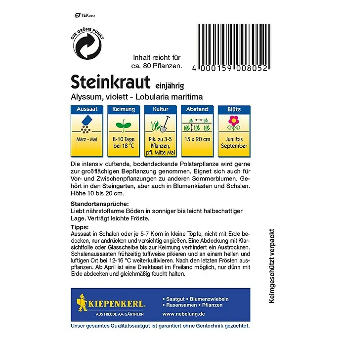 Kiepenkerl Blumensamen Steinkraut - Lobularia maritima, Lila, Blütezeit: Juni - Rückansicht