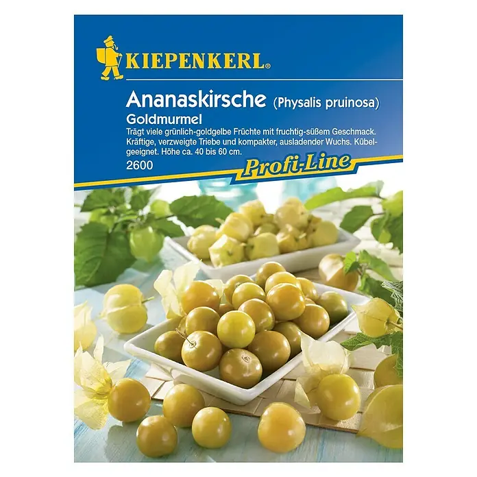 Kiepenkerl Profi-Line Obstsamen Ananaskirsche - Physalis peruviana, Erntezeit: Juli - Vorderansicht