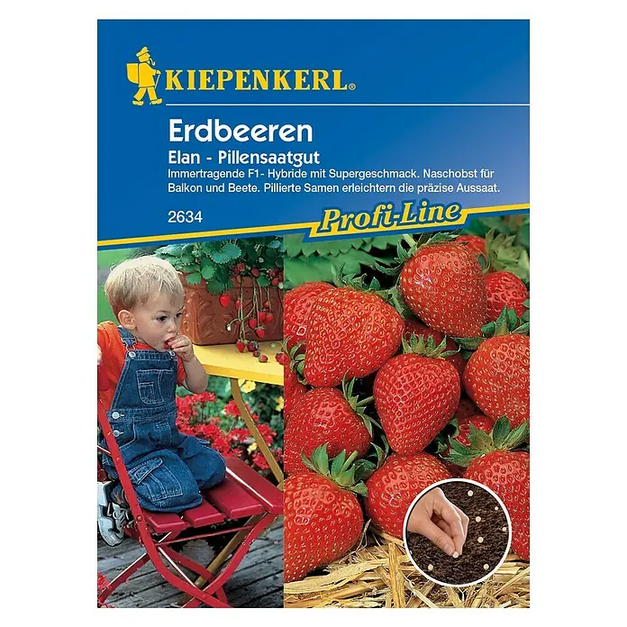 Kiepenkerl Profi-Line Obstsamen Erdbeere Elan - Fragaria x ananassa, Erntezeit: Juni - Vorderansicht
