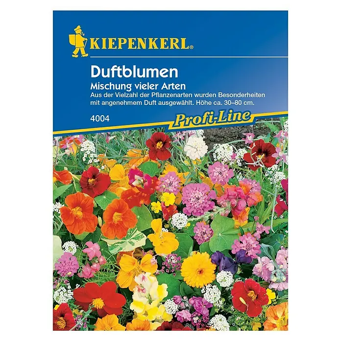 Blumensamenmischung Duftblumen - Verschiedene Sorten, Mehrfarbig, 2 m² - 4 m² - Vorderansicht