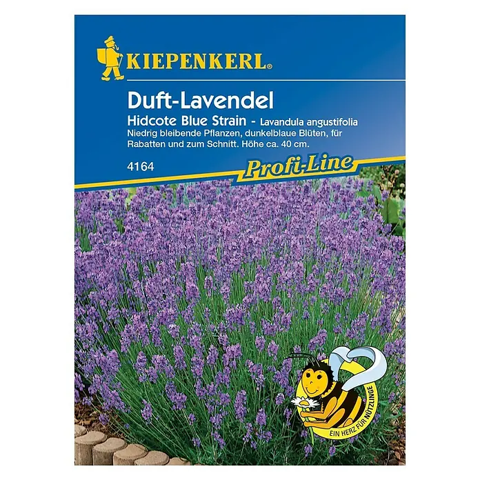 Kiepenkerl Profi-Line Blumensamen Lavendel Hidcote Blue - Lavandula angustifolia, Lavendelblau - Vorderansicht