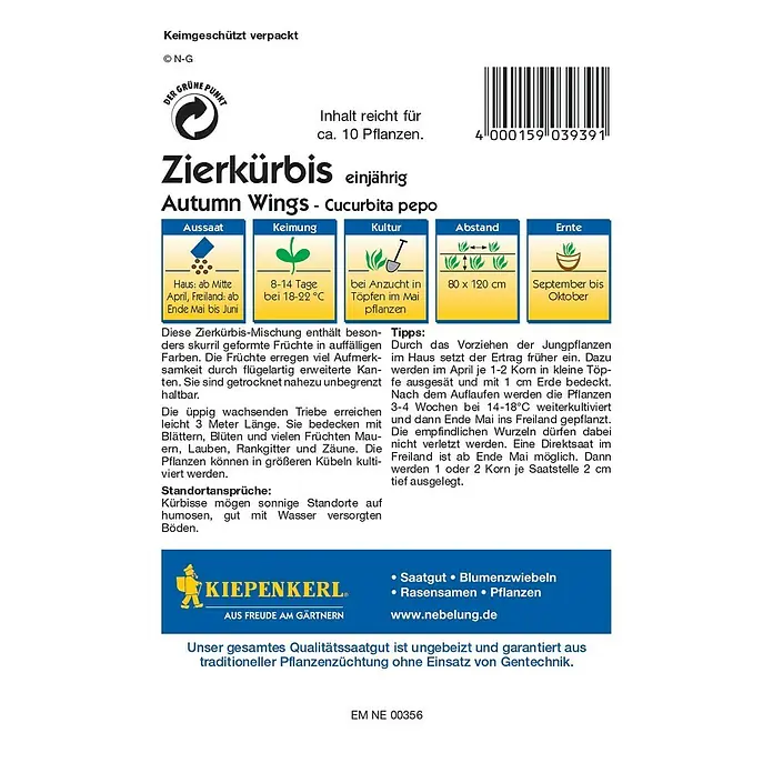 Kiepenkerl Profi-Line Saatgut Zierkürbis - Autumn Wings, Cucurbita pepo - Rückansicht