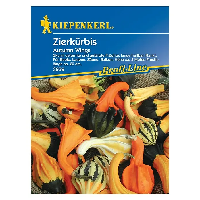 Kiepenkerl Profi-Line Saatgut Zierkürbis - Autumn Wings, Cucurbita pepo - Vorderansicht