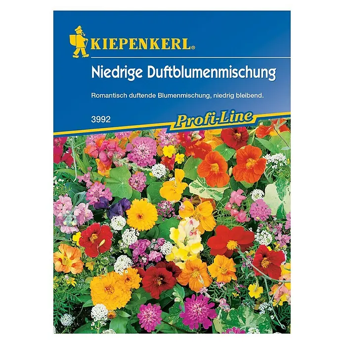 Blumensamenmischung Niedrige Duftblumenmischung - Verschiedene Sorten, Mehrfarbig, 2 m² - 4 m² - Vorderansicht