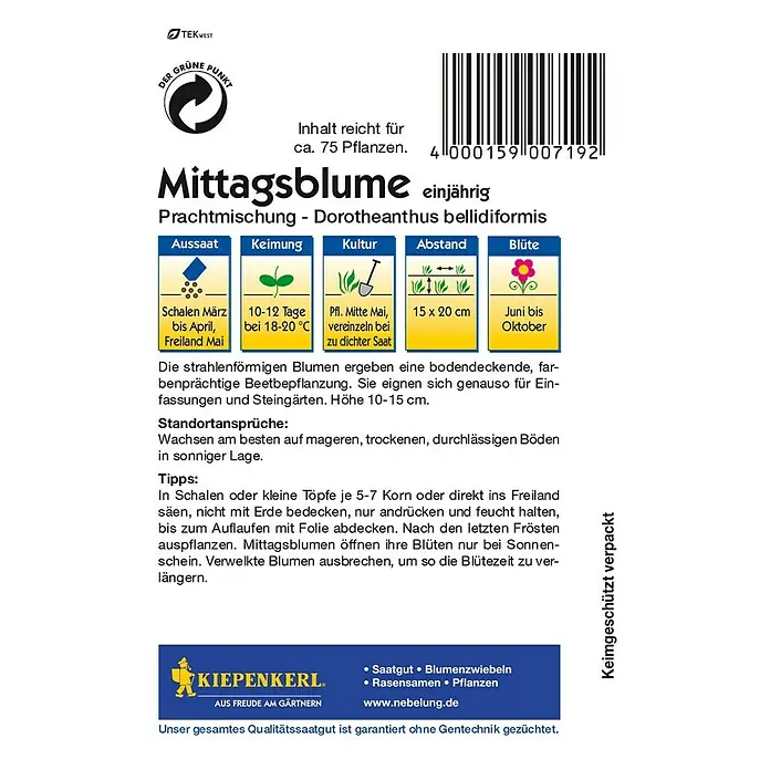 Kiepenkerl Blumensamen Mittagsblume - Dorotheanthus bellidiformis, Mehrfarbig - Rückansicht