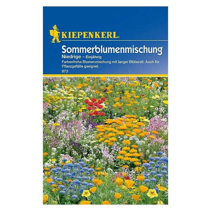 Blumensamenmischung Sommerblumenmischung - Verschiedene Sorten, Mehrfarbig - Vorderansicht