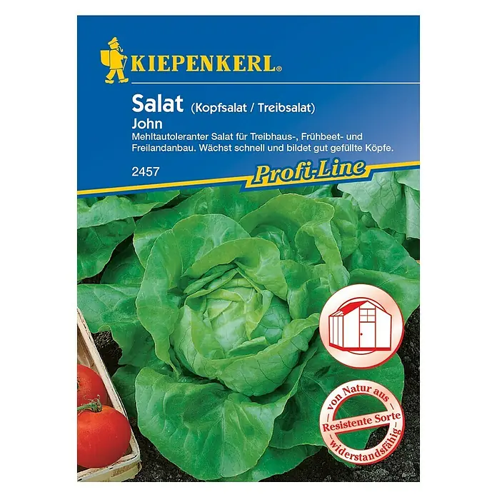 Kiepenkerl Profi-Line Salatsamen Kopfsalat - John, Lactuca sativa var. capitata, Erntezeit: Oktober - Vorderansicht