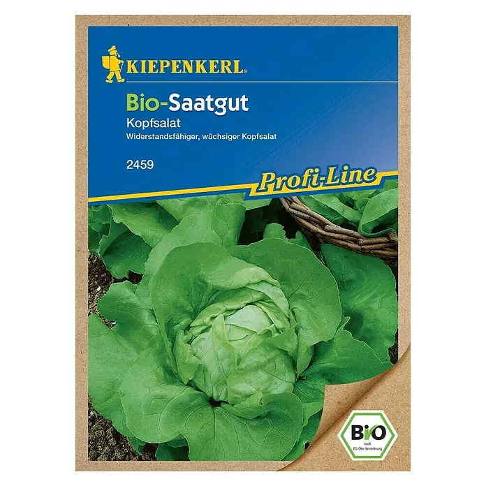 Kiepenkerl Profi-Line Salatsamen Kopfsalat - Bio Kopfsalat, Lactuca sativa var. capitata - Vorderansicht