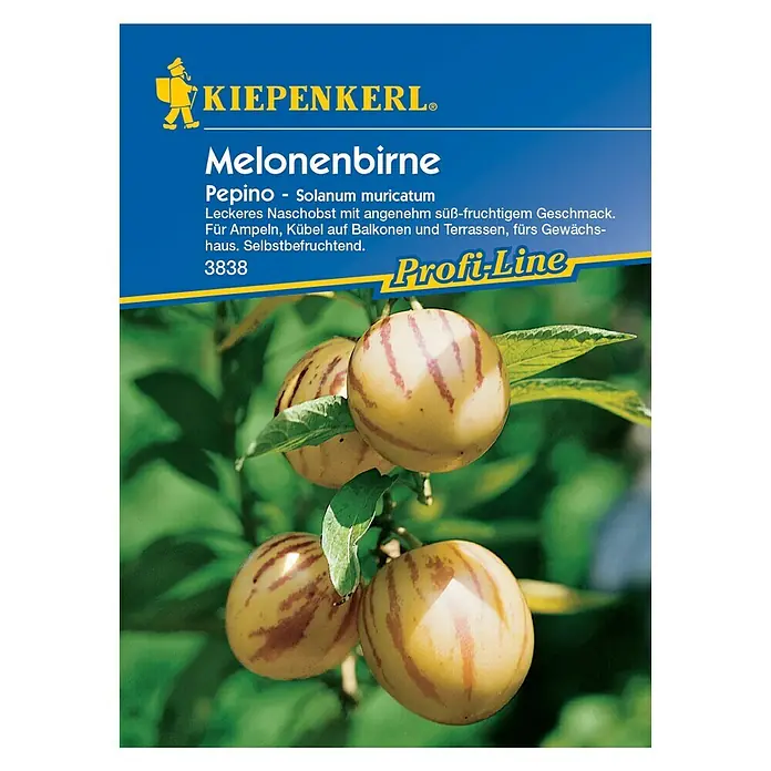 Kiepenkerl Profi-Line Obstsamen Melonenbirne - Solanum muricatum, Erntezeit: Juli - Vorderansicht
