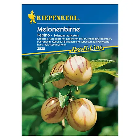 Kiepenkerl Profi-Line Obstsamen Melonenbirne