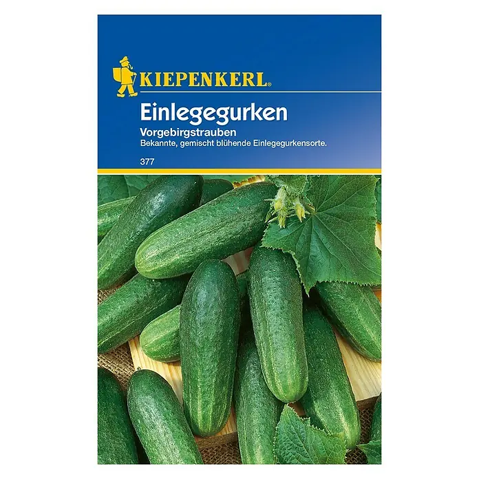 Kiepenkerl Gemüsesamen Einlegegurke - Vorgebirgstrauben, Cucumis sativus, Erntezeit: Juli - Vorderansicht