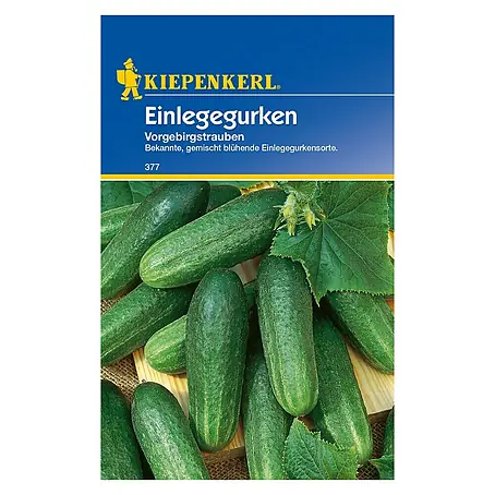 Kiepenkerl  Gemüsesamen Einlegegurke
