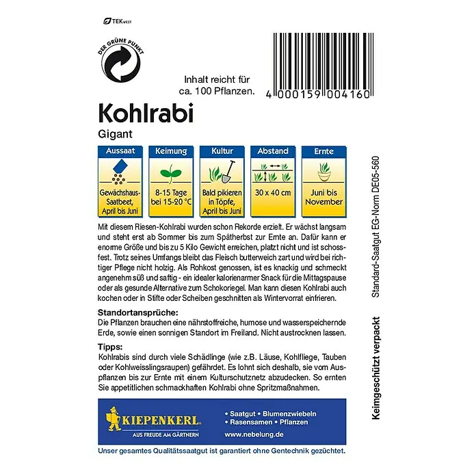 Kiepenkerl Gemüsesamen Kohlrabi Gigant - Brassica oleracea var. gongylodes, Erntezeit: Juni - Rückansicht