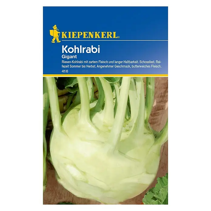Kiepenkerl Gemüsesamen Kohlrabi Gigant - Brassica oleracea var. gongylodes, Erntezeit: Juni - Vorderansicht