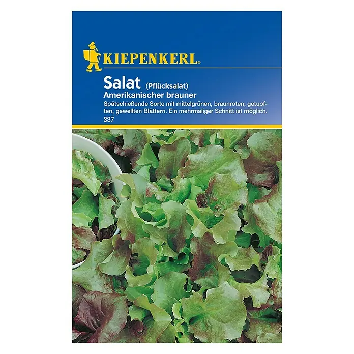 Kiepenkerl Salatsamen Pflücksalat Amerikanischer brauner - Lactuca sativa var. crispa, Erntezeit: April - Vorderansicht