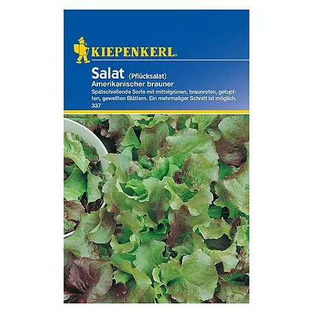 Kiepenkerl  Salatsamen Pflücksalat Amerikanischer brauner