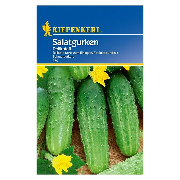 Kiepenkerl Gemüsesamen Salatgurke - Delikateß, Cucumis sativus, Erntezeit: Juli - Vorderansicht