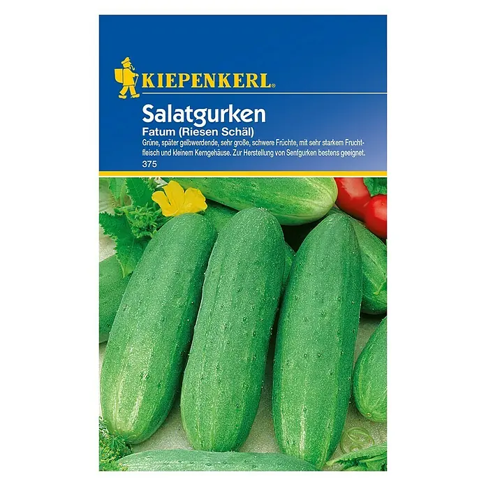 Kiepenkerl Gemüsesamen Schälgurke - Cucumis sativus, Erntezeit: Juli - Vorderansicht