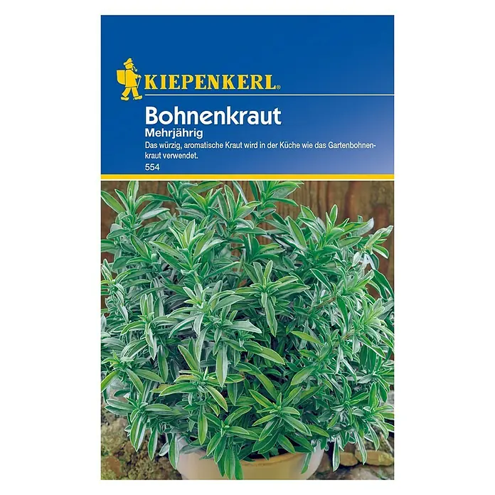 Kräutersamen Bohnenkraut - Satureja montana, Saatzeit: April, Erntezeit: Juni - Vorderansicht