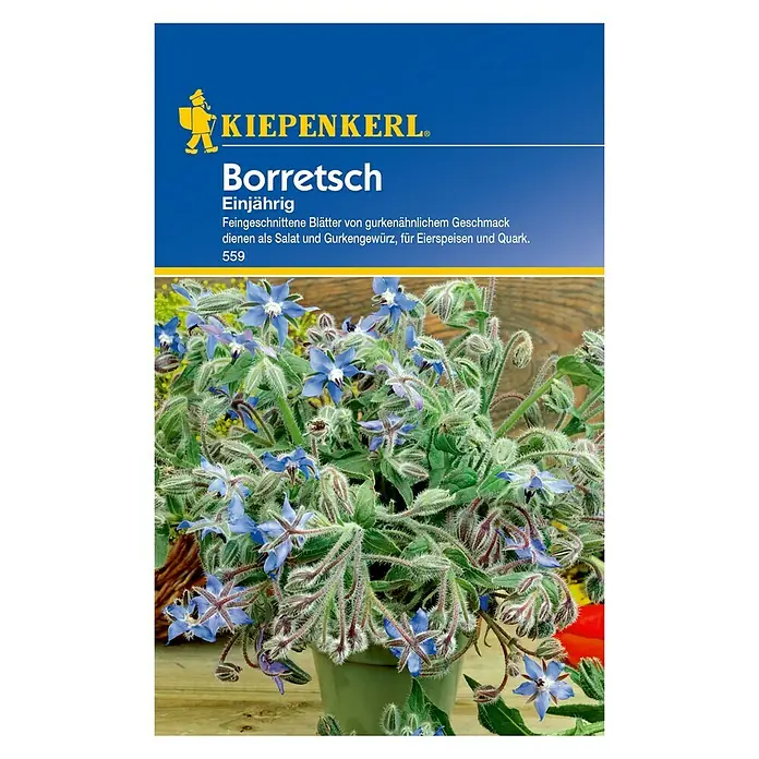 Kiepenkerl Kräutersamen Boretsch - Borago officinalis, Saatzeit: April, Erntezeit: Juni - Vorderansicht