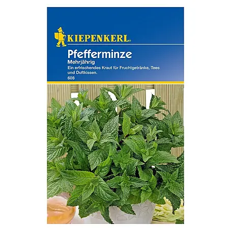 Kiepenkerl  Kräutersamen Pfefferminze