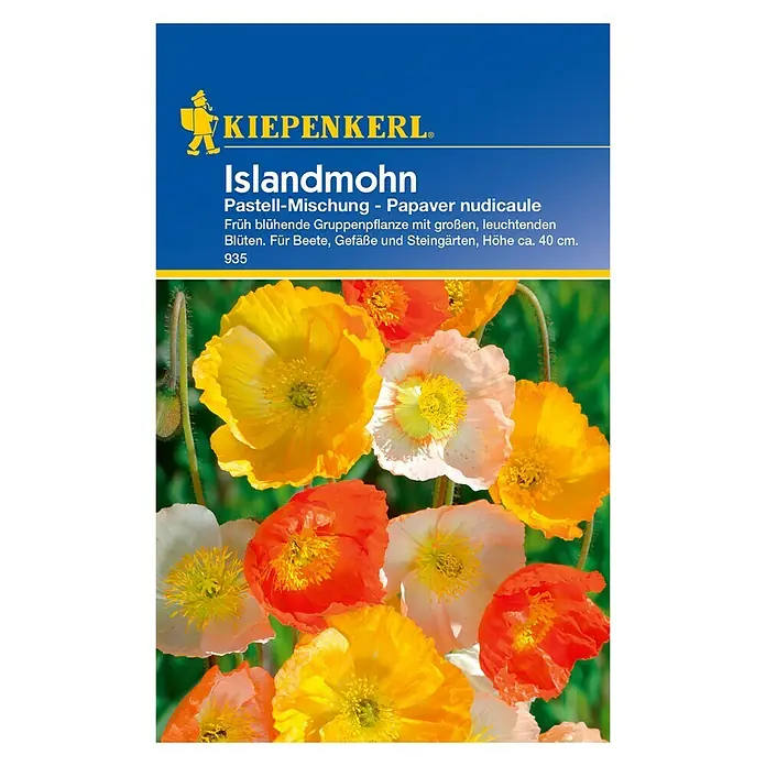 Kiepenkerl Blumensamen Islandmohn - Papaver nudicaule, Mehrfarbig - Vorderansicht