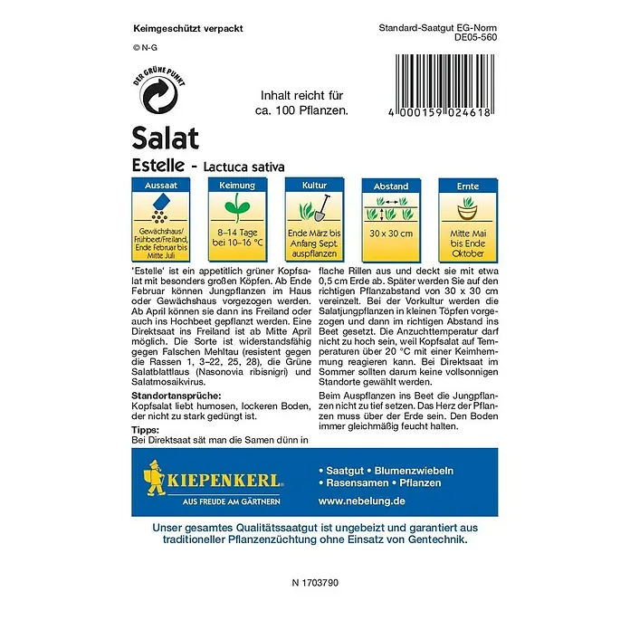 Kiepenkerl Profi-Line Salatsamen Kopfsalat - Estelle, Lactuca sativa var. capitata, Erntezeit: Mai - Rückansicht