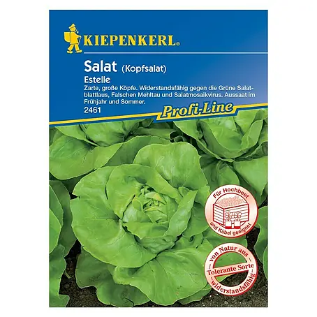 Kiepenkerl Profi-Line Salatsamen Kopfsalat