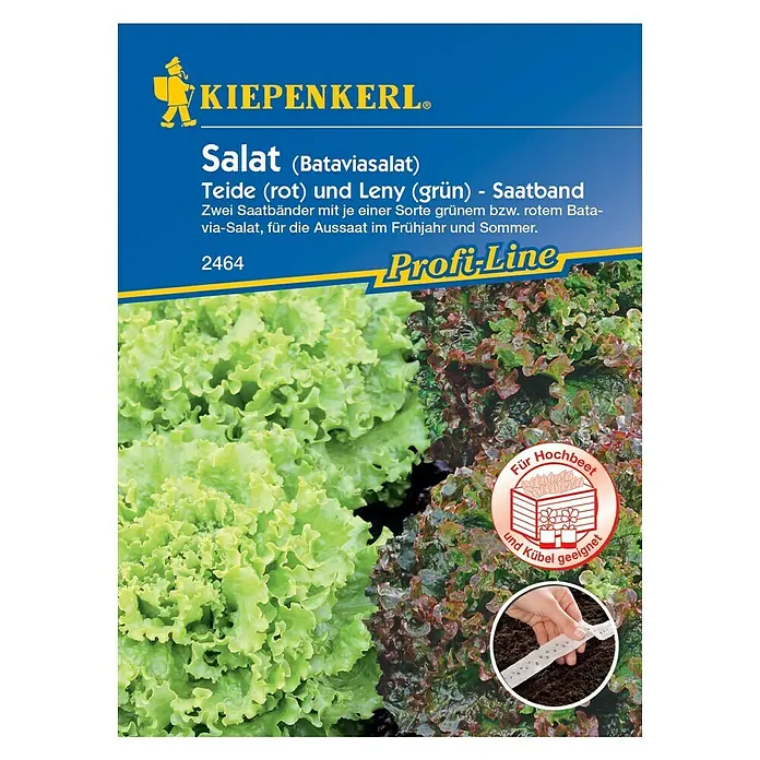 Kiepenkerl Salatsamen Batavia-Salat - Lactuca sativa, Erntezeit: Mai - Vorderansicht